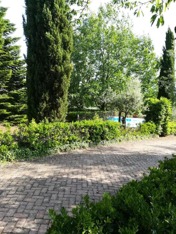 Bed and Breakfast La Terrazza Su Roma Zagarolo Екстер'єр фото